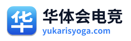 华体会电竞 Logo